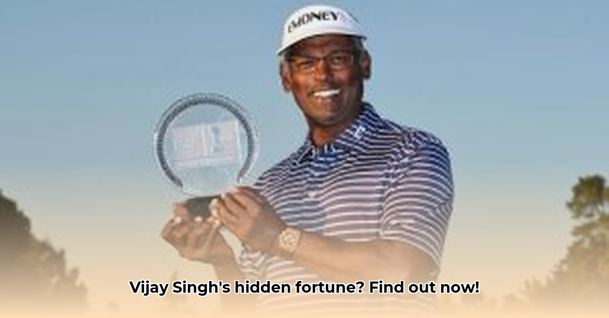 net-worth-of-vijay-singh